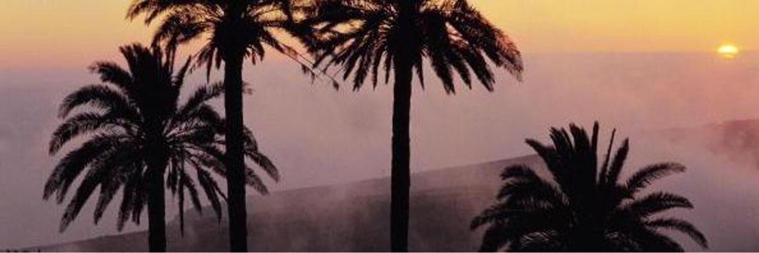 IbizaShoreTOP's profile banner image