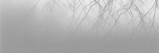 itsca0s's profile banner image