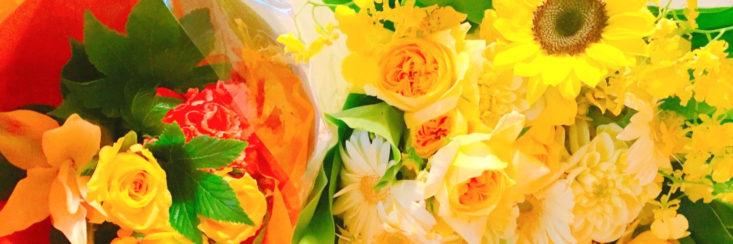 mao_1236's profile banner image