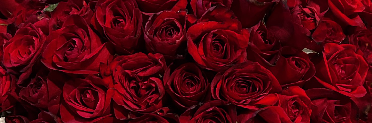 degaurias's profile banner image