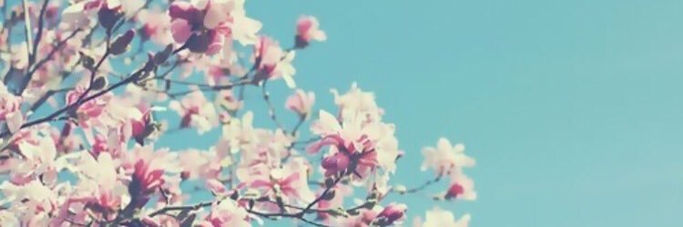 MyHeartOfTini's profile banner image
