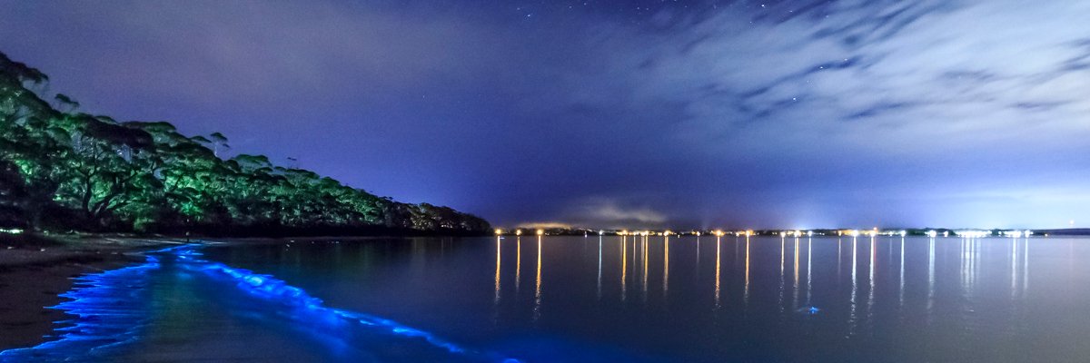 Medimane117's profile banner image