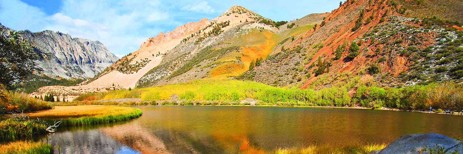 Bishop Visitor banner