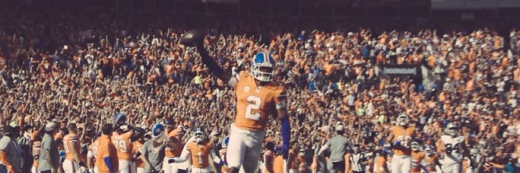 The.Don🕷️🕸️ banner