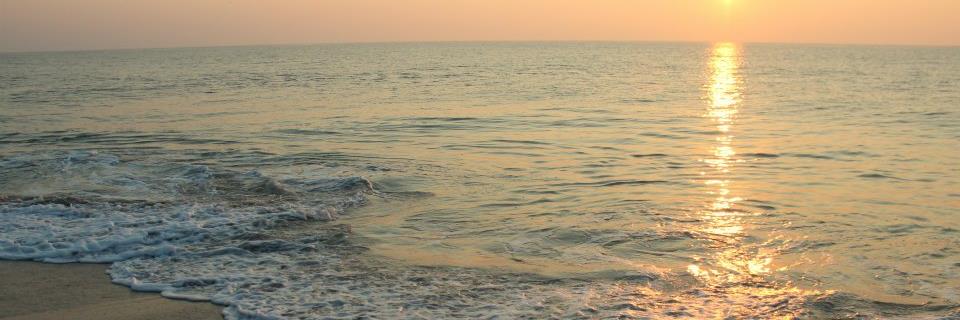 RachelEHPhotos's profile banner image