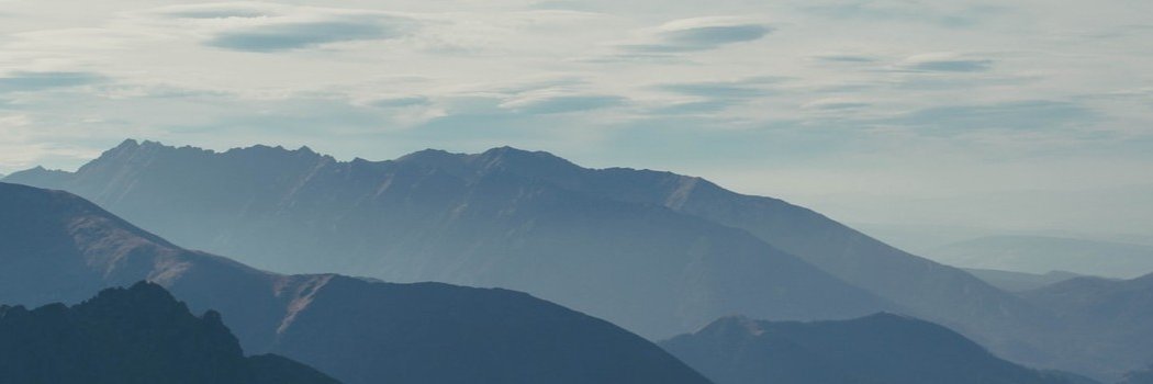 damonosaid's profile banner image