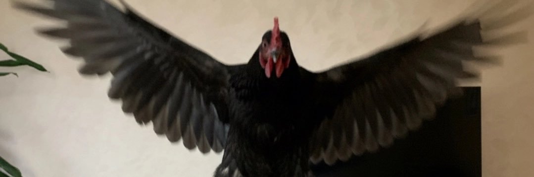 monitheog's profile banner image