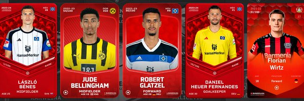 PIRLso Profile Banner