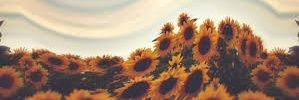 GraceMc_CQ's profile banner image