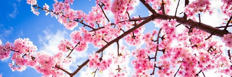 Arminder Randhawa 🦋 banner