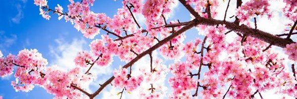 ArminderRand Profile Banner