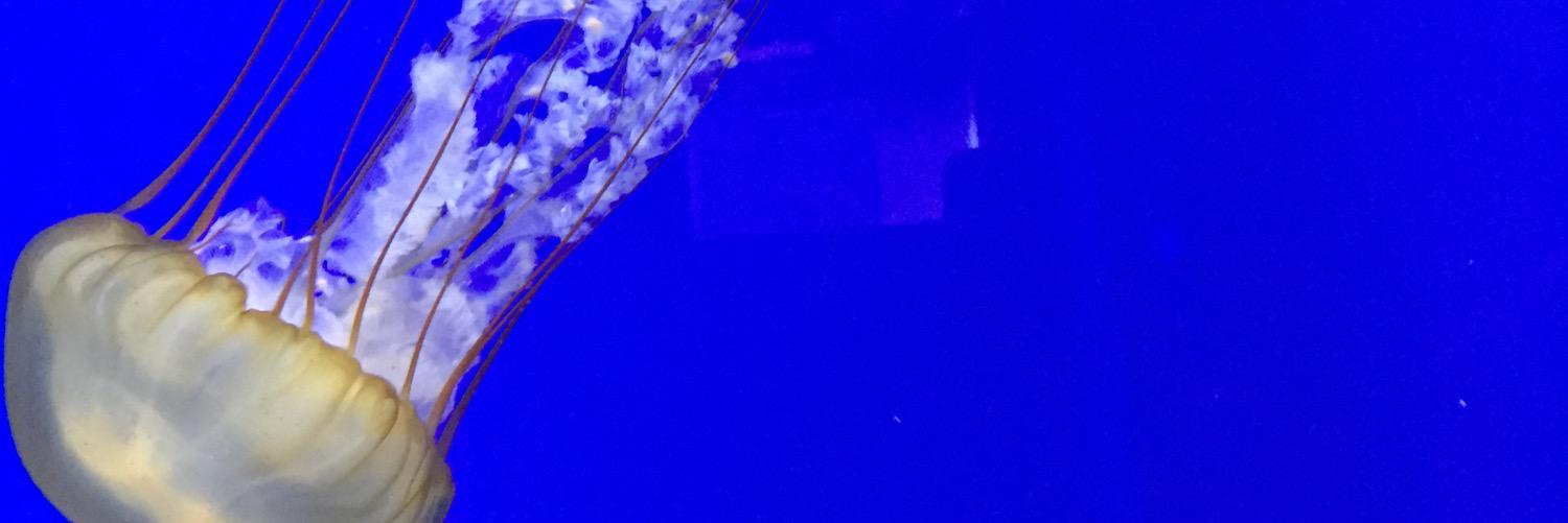 AutomaticJCB's profile banner image