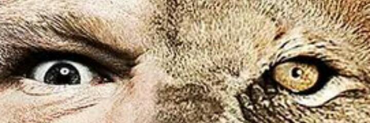 Alikhan167's profile banner image
