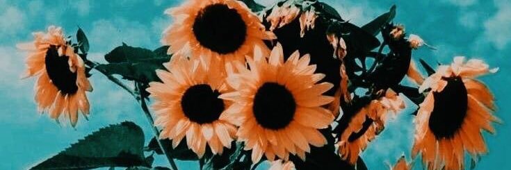 _liberachi_'s profile banner image