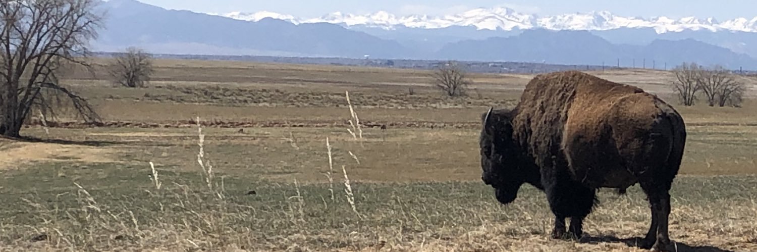 BryceAsch88's profile banner image