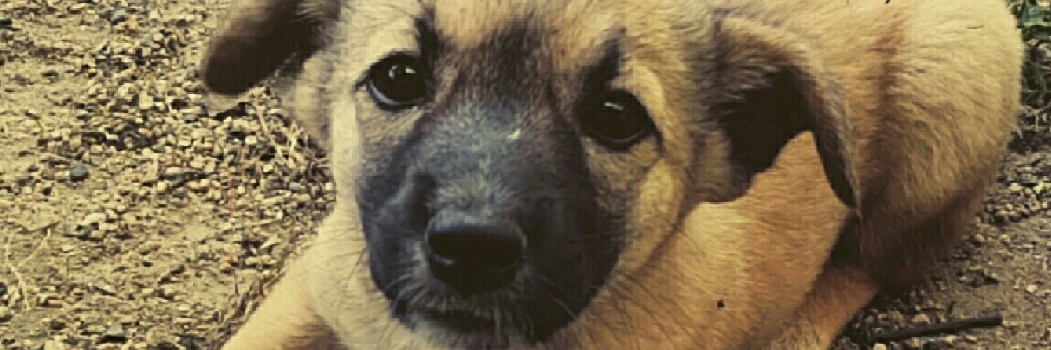 handeirel's profile banner image