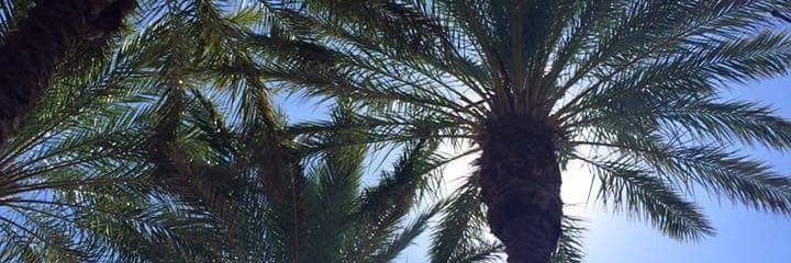 DawnMM1230's profile banner image