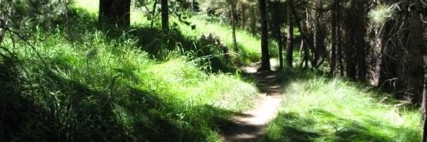 maryannhare's profile banner image