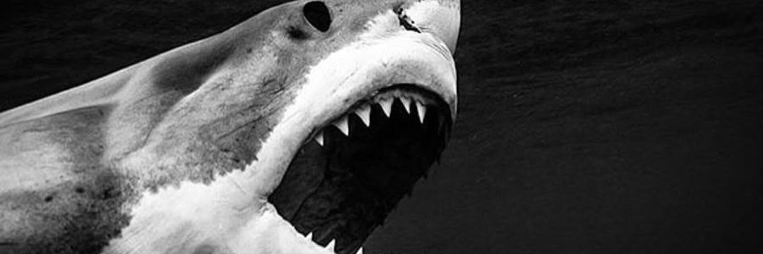 SanmorMar's profile banner image
