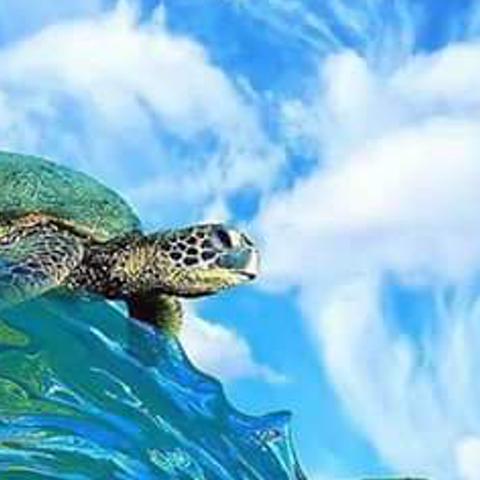 OchoaTialoly's profile banner image