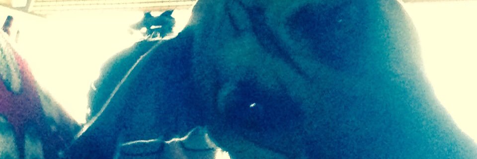 PabloD_Sanchez6's profile banner image