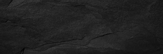 Rylee Laxdal banner