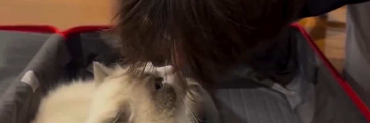 ploywahn's profile banner image