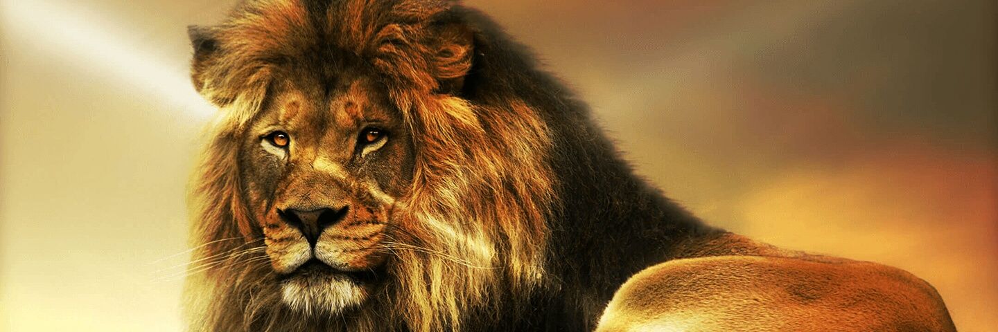 RoyalGafoor's profile banner image
