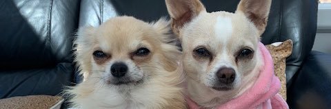 GillianmargoB's profile banner image