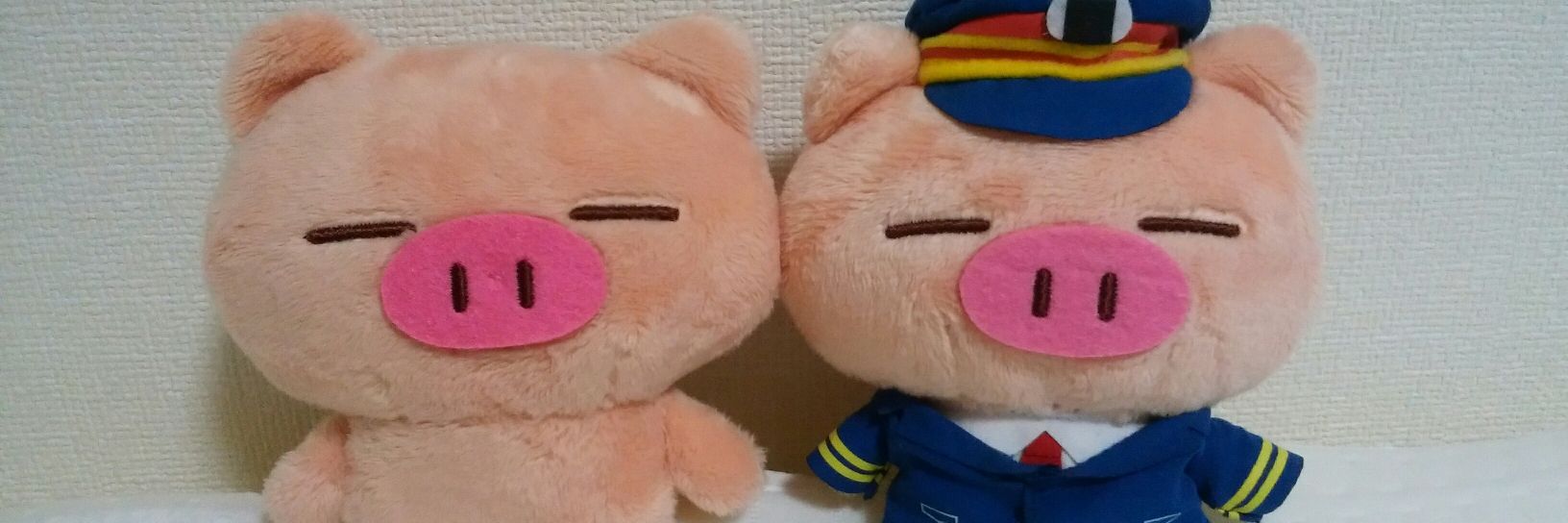 neri611's profile banner image