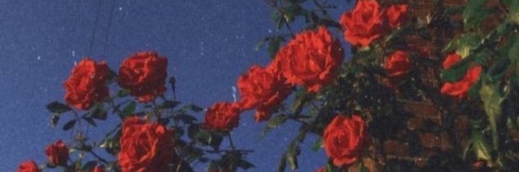 LilyNorris20's profile banner image