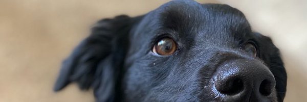 ripLogan Profile Banner