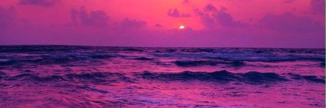 Perla del mar banner