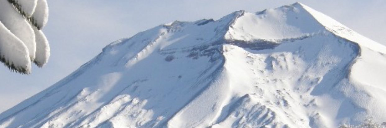 M&L Capital (AIFM for Manchester & London IT Plc) banner