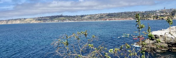 Nhu_SD Profile Banner