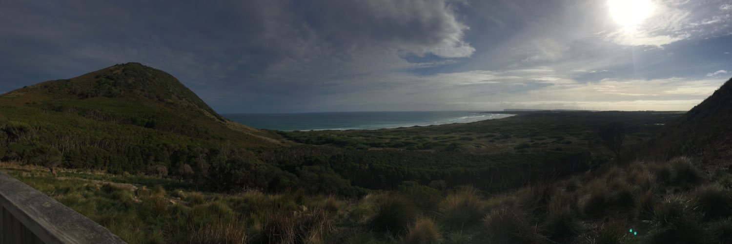 NaturallyTassie's profile banner image
