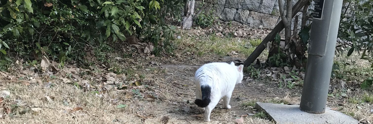 アミティエ　ちゃこ banner