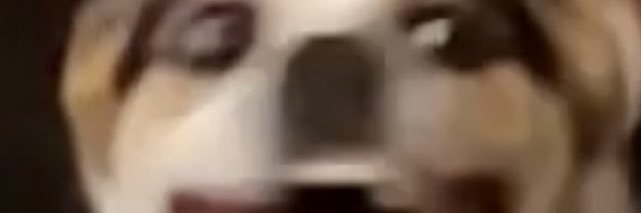 adrian_smiles's profile banner image