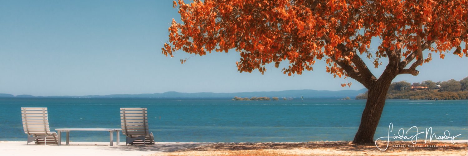 LindaJMandy's profile banner image