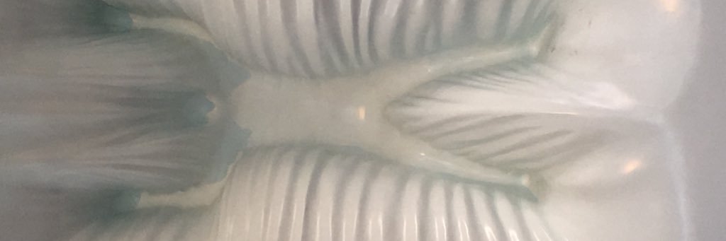 RandelleMoore's profile banner image