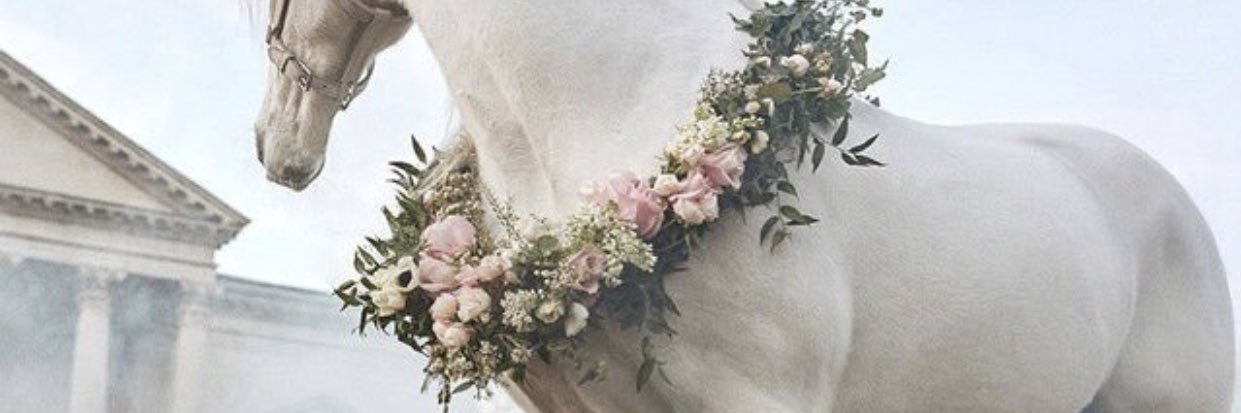 Awatif |د. عواطف الرشيدي banner