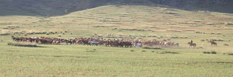 CSEN also csennomads.bsky.social banner