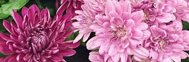 terexk's profile banner image