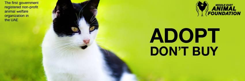 ME Animal Foundation banner