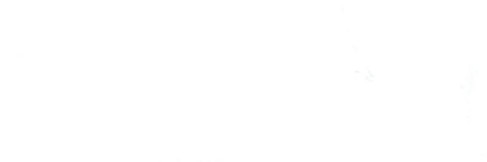 michael inventory banner