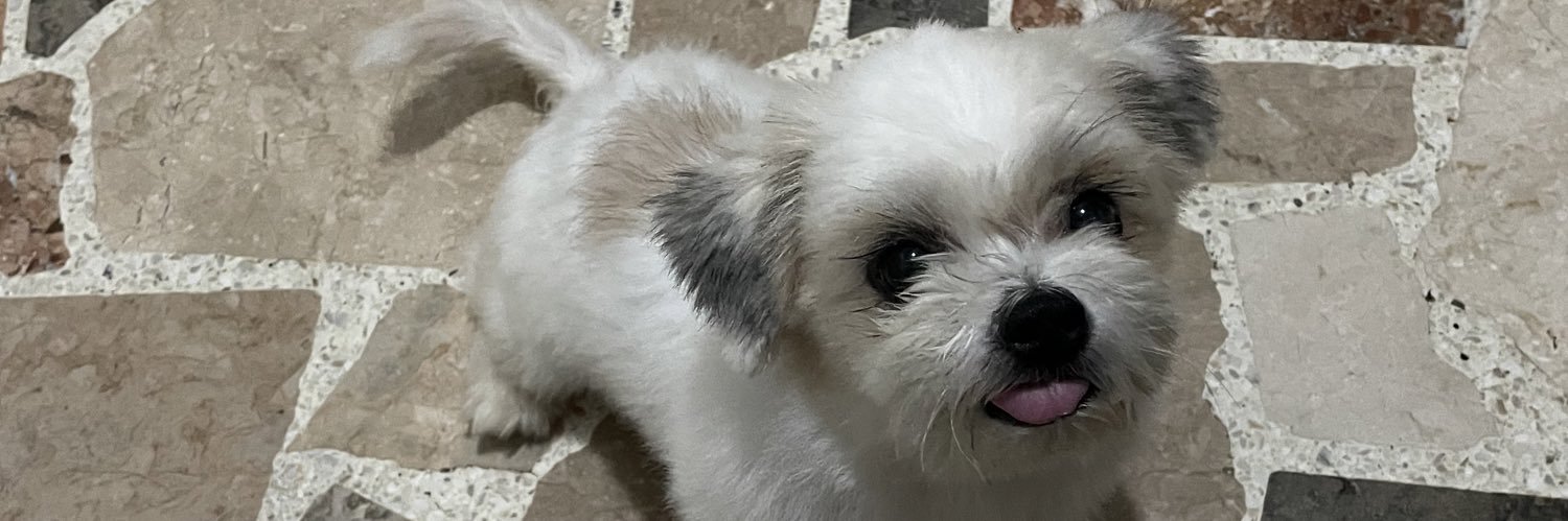 YrvinLo's profile banner image