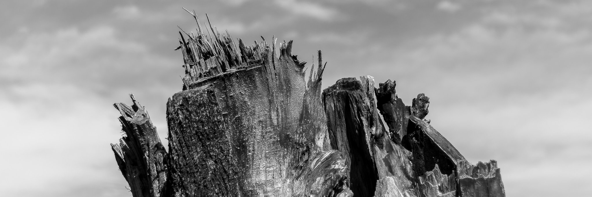 sandgonza's profile banner image
