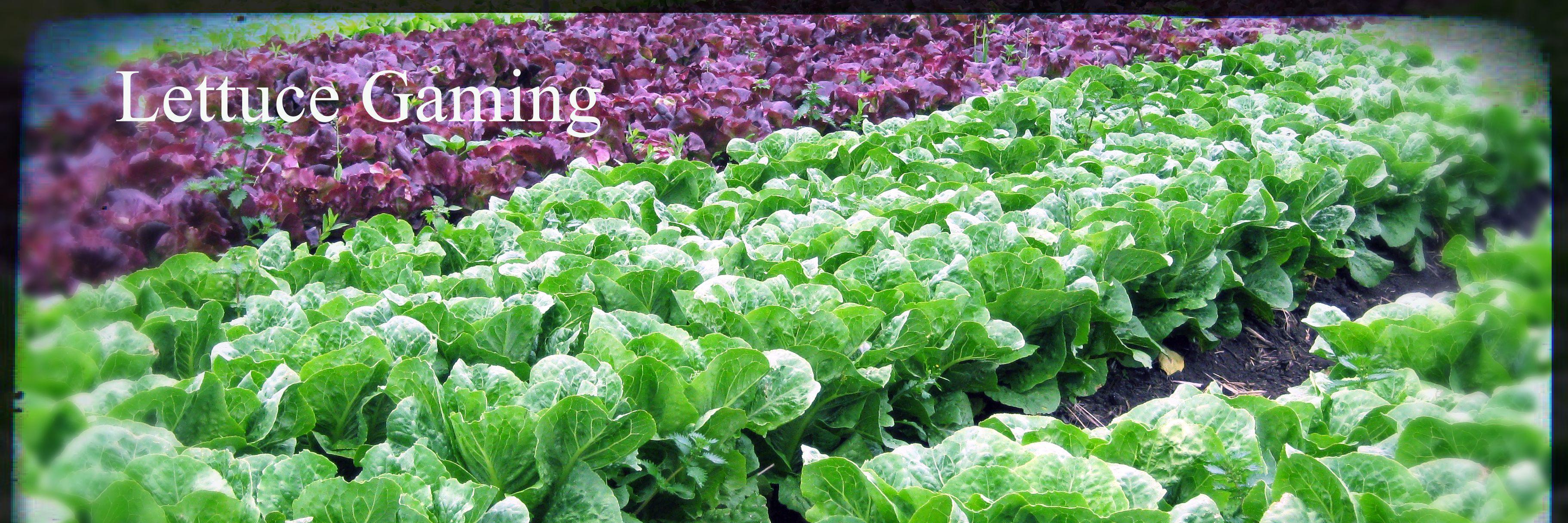 Lechuga_Gaming's profile banner image
