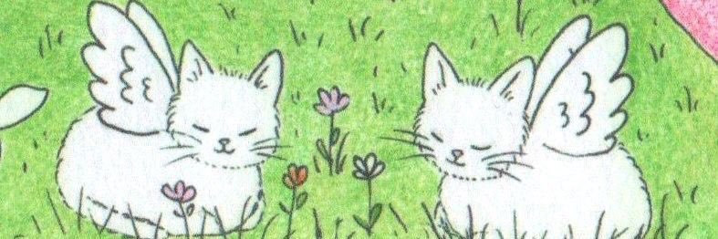 cass .𖥔 ݁ ˖ banner