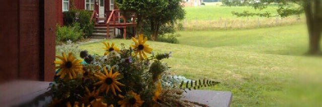 HeatherLynnBush's profile banner image